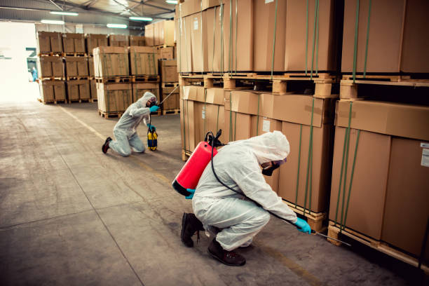 Best Pest Prevention Services  in Akron, NY