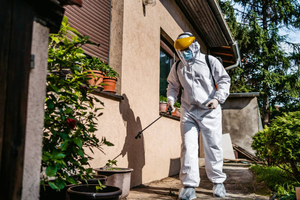 Best Spider Control Near Me  in Akron, NY